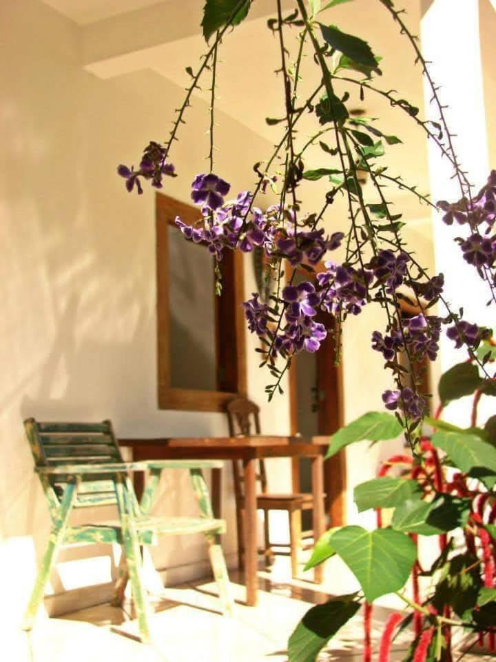 פאראטי Pousada Villa Da Gama חדר תמונה