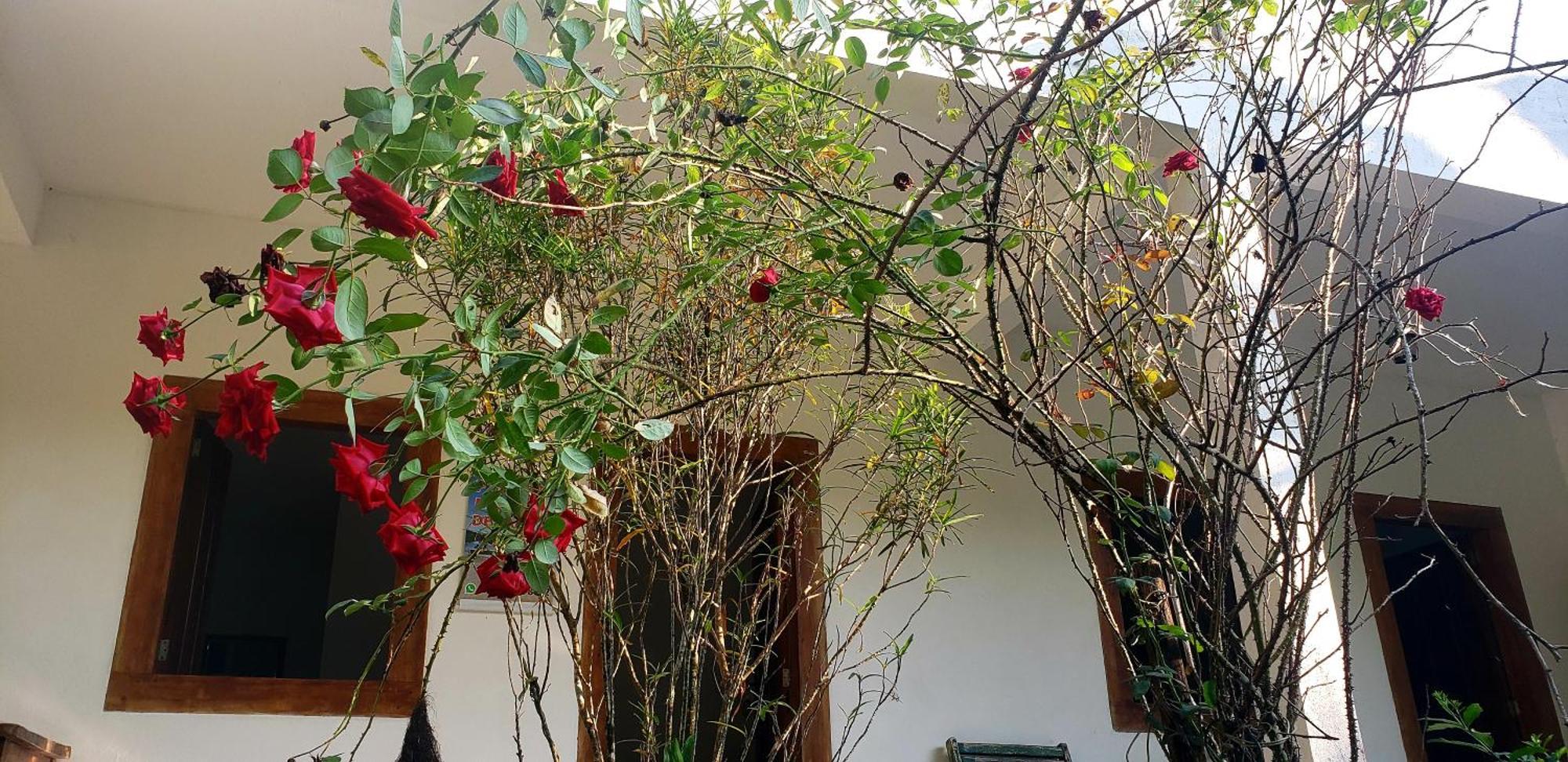 פאראטי Pousada Villa Da Gama חדר תמונה